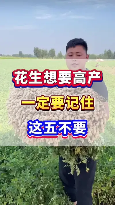 花生想要高产，一定要记住这5不要！#花生种植 #花生高产  #花生种植管理技术  #花生粒粒饱