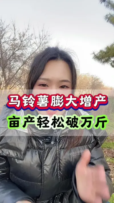 马铃薯膨大增产配方亩产轻松过万斤#土豆高产种植 #土豆种植 #马铃薯 #土豆 #洋芋