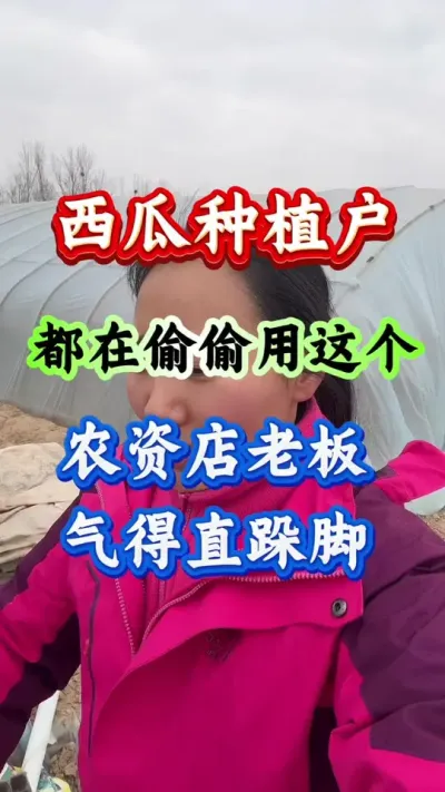 西瓜种植 西瓜种植户都在偷偷用这个农资店老板气得直跺脚#西瓜种植 #西瓜管理 #病害防治#虫害防治#西瓜高产