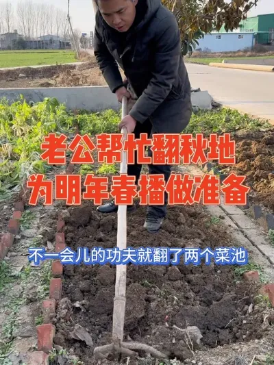 俗话说秋翻一桶金，春翻一瓢水，三九天前一定要把空地都翻好。为了媳妇能更好的种菜，老公帮忙把秋天的空地都翻好，为明年春播做好准备 #翻地 #记录真实生活 #记录我的农村生活 #强迫症治愈系 #我的小菜园