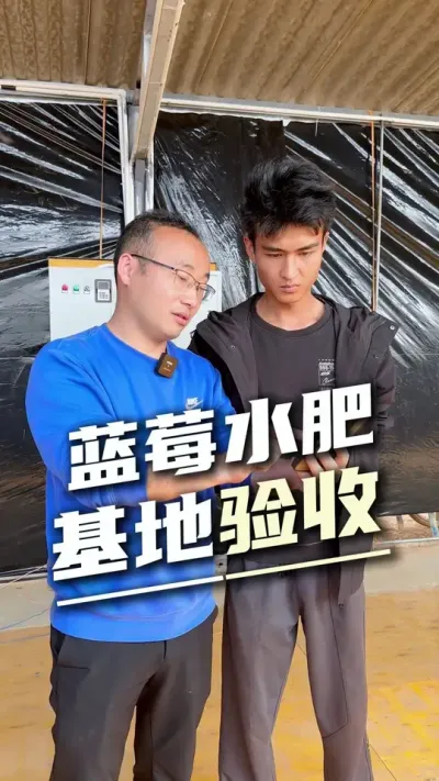 11亩阳光玫瑰棚改种蓝莓，全自动水肥一体化设备基地验收#阳光玫瑰 #蓝莓种植 #全自动水肥 #灌溉设备
