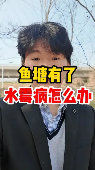 鱼塘有了水霉病怎么办 #养鱼 #水产养殖 #养殖 #养鱼人