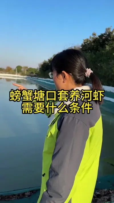 螃蟹塘口套养河虾需要什么条件！！！ #渔多多养殖模式 #河蟹养殖 #新农人计划2024 #三农 #水产养殖