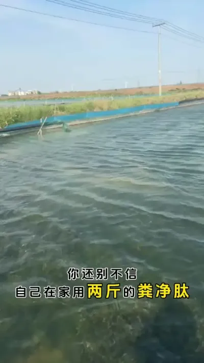 用两斤粪净肽就可以让水浑斩草除根。#河蟹养殖 #鱼虾蟹养殖 #螃蟹养殖 #三农 #粪净肽 @DOU+小助手