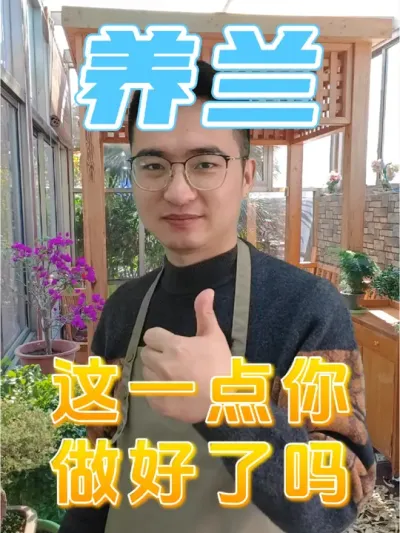 养兰花，这一点你做对了吗？ #养花 #兰花 #兰花营养液