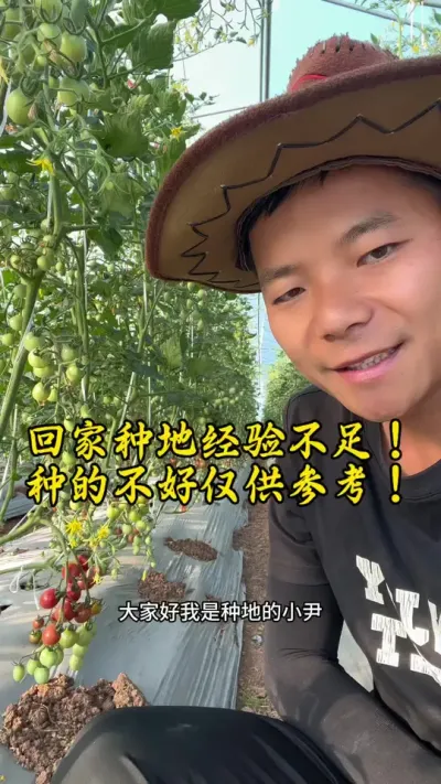 以前都在浙江种地，就过年这段时间回来，今年第一年回老家重庆种地，由于经验不足，气候不了解，种的一般，但也是成果，希望以后会越来越好！#返乡创业新农人