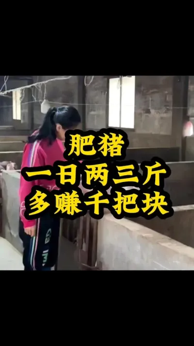 #喂猪人的日常生活不容易 #三农养猪人 #猪喂什么饲料长得最快 #养猪人不容易 #全国养猪人