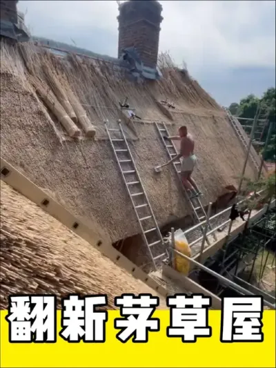 十分解压的，茅草屋顶翻新过程#施工 #解压 #建造 #翻新 #茅草屋