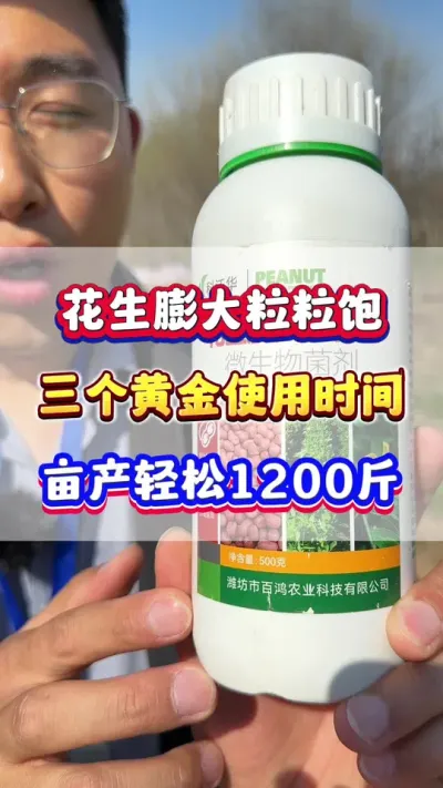 花生增产配方花生粒粒饱，三个黄金使用时间！ #花生种植 #花生高产 #花生种植管理技术 #花生施肥