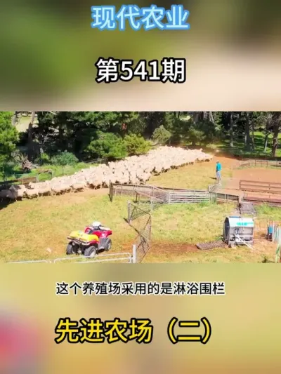 现代养殖场（二） #三农 #养殖 #现代化 #农场 #羊