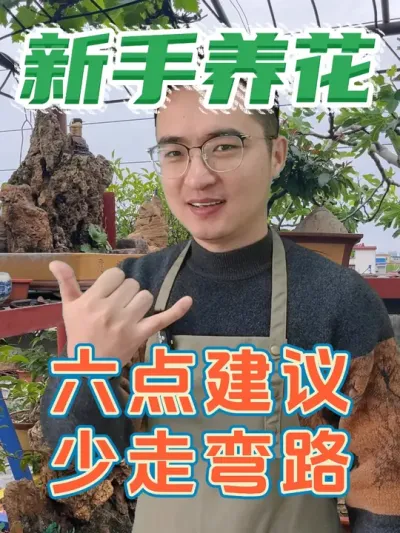 新手养花记住这六点，少走弯路，少花冤枉钱！ #养花  #花卉绿植  #养花小知识