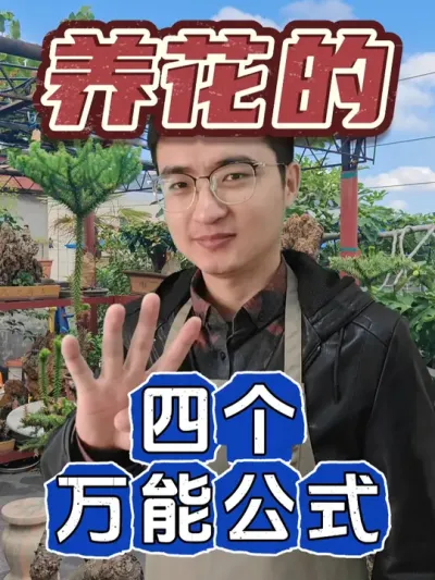 养花的四个万能公式，让你轻松养好花！ #养花  #花卉绿植  #养花小技巧
