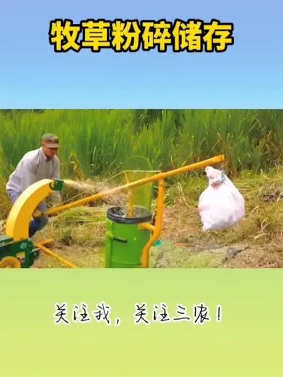 牧草粉碎储存 #牧草 #牧草粉碎机 #畜牧养殖设备