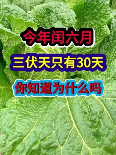 今年闰六月三伏天只有30天你知道是为什么吗 #农业种植 #农业谚语 #谚语俗语 #三农 #分享农业知识帮农民增产增收