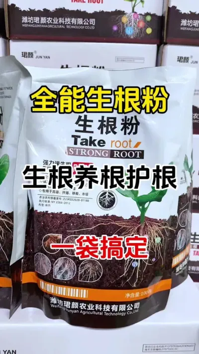 生根缓苗快，抗病抗病抗重茬，移栽扦插嫁接都可以使用#生根壮苗 #生根剂 #生根剂的配方 #番茄种植