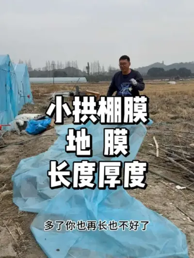 春天育苗小拱棚膜和地膜怎么选择 #农业种植 #三农 #种植 #种菜