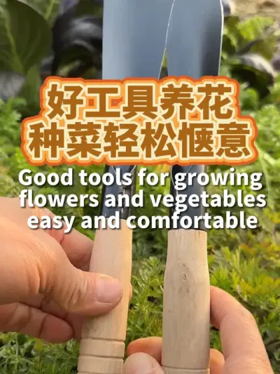好工具种菜轻松惬意 春天养花种菜，有衬手好用的工具就省心省力 #我的小菜园 #种植小技巧 #阳台种植 #我爱种菜