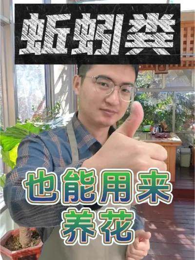 蚯蚓粪还能用来养花？ #养花 #花肥 #蚯蚓粪