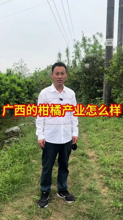 #草莓种植 #广西柑橘