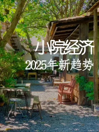 全面分析2025年小院经济新趋势 #小院改造 #小院时光 #氛围感 #网红打卡地 #天雅设计