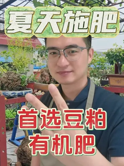 夏季施肥首选豆粕有机肥！ #养花  #有机肥  #豆粕肥
