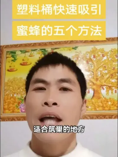 #内容启发搜索 #谌蜜 #诱蜂#诱蜂经验分享 ，塑料桶快速吸引蜜蜂的五个方法，来蜂快。@抖音小助手 @DOU+小助手