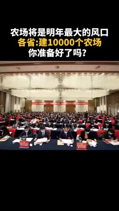 农场将是明年最大的风口各省建10000个农场你准备好了吗 #乡村振兴 #乡村扶持 #休息农业 #家庭农场