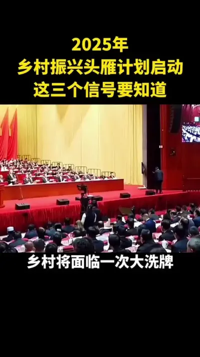 2025年乡村振兴头雁计划启动这个三个信号要知道#乡村振兴#乡村扶持#休闲农业#家庭农场