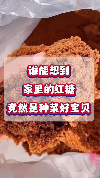 家里的红糖竟然是种菜的好宝贝！#蔬菜种植  #生根壮苗  #增产增收 #农业种植