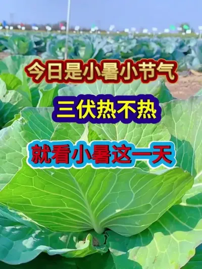 #农业谚语 #农谚老话 #农业种植 #三农 #分享农业知识帮农民增产增收