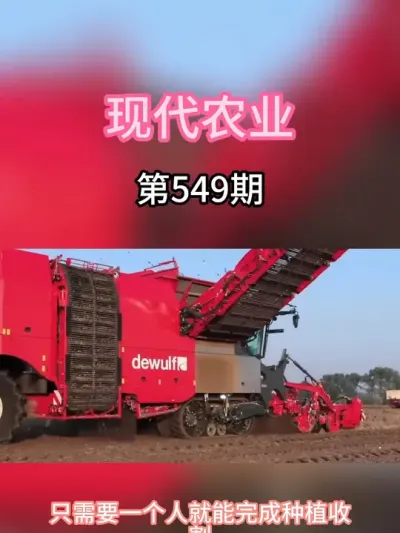 不开玩笑，一个人就能收完一个蔬菜田 #三农 #现代农业 #机器 #农田