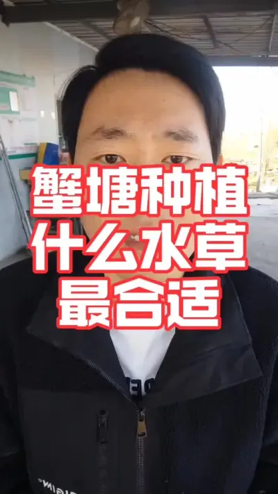 蟹塘如何挑选适合栽种的水草！#大闸蟹 #大闸蟹养殖 #螃蟹养殖 #河蟹养殖 #抖音助农