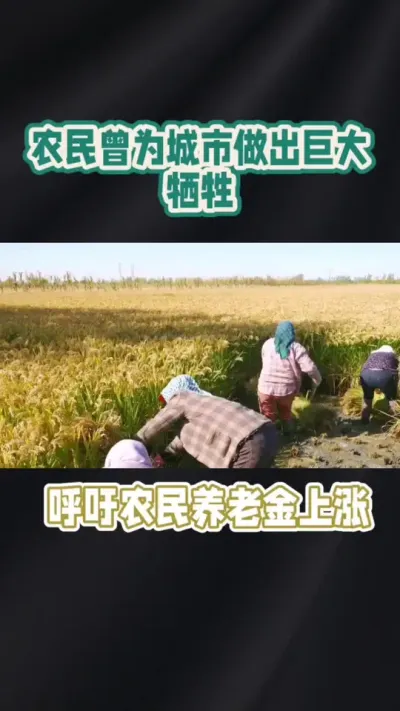 农民养老金上涨问题