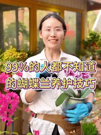 99%的人都不知道的蝴蝶兰养护技巧#蝴蝶兰 #蝴蝶兰养护 #养花小知识 #花卉绿植 #养花人的乐趣