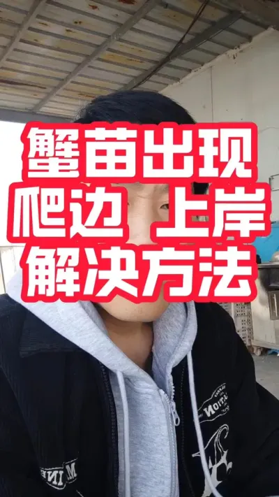 发现蟹苗出现爬边 上岸该如何处理！#螃蟹养殖 #大闸蟹养殖 #河蟹养殖 #大闸蟹#抖音助农