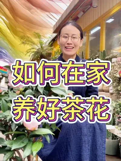 如何在家养好茶花#种植小技巧 #花卉绿植 #爱生活爱养花 #茶花 #茶花养护