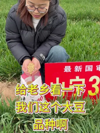 高产大豆新品种，亩产700斤，心动了吗？ #你喜欢的样子 #高产 #助农 #高产大豆