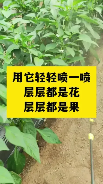 用它喷一喷，层层都是花，层层都是果#分享农业知识帮农民增产增收 #抖音助农 #三农