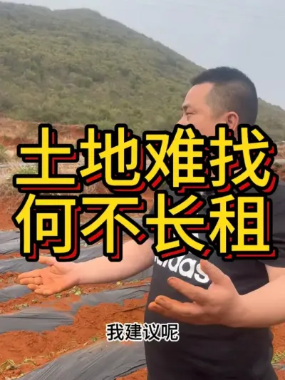 你会选择长租一块地种植红薯还是短租#农业种植 #红薯种植 #红薯种植技术 #三农 #三农种植