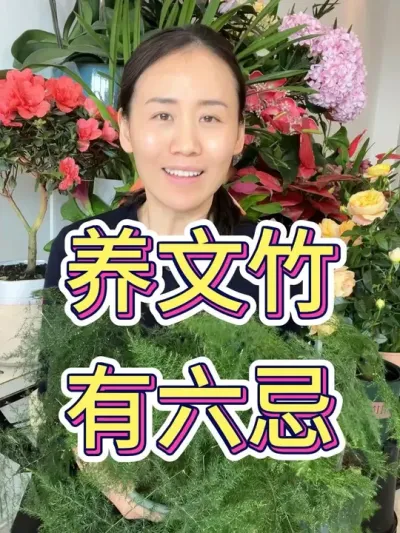 养文竹有六忌#文竹怎么养 #花卉绿植 #文竹 #养花小知识 #种植小技巧