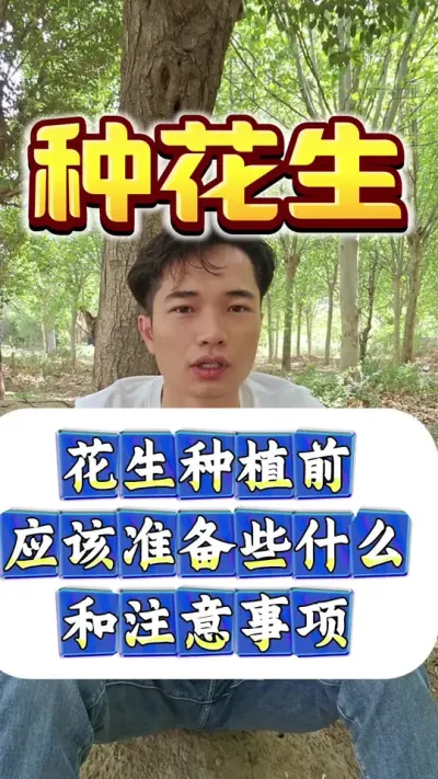 花生种植前应该准备些什么和注意事项。#花生种植 #花生高产 #种花生 #花生种植管理技术 #花生高产种植