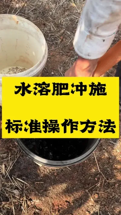 水溶肥冲施标准操作，你做到了吗 #农业种植 #水溶肥 #抖音助农