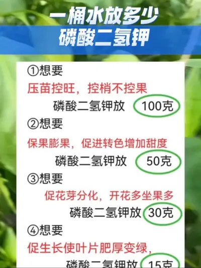 一桶水放多少磷酸二氢钾#三农种植 #三农 #抖音助农