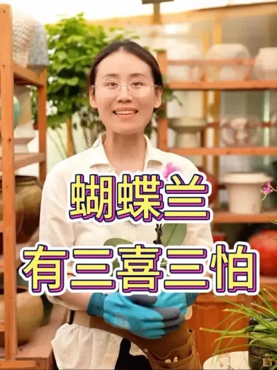 蝴蝶兰有三喜三怕#蝴蝶兰 #蝴蝶兰养护 #养花小知识 #花卉绿植 #养花人的乐趣
