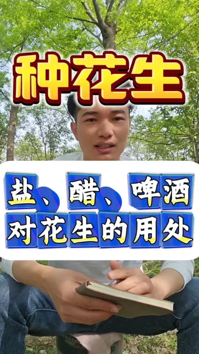 盐，醋，啤酒在花生种植上的用处。#花生种植 #花生高产 #花生种植管理技术 #花生高产种植 #种花生