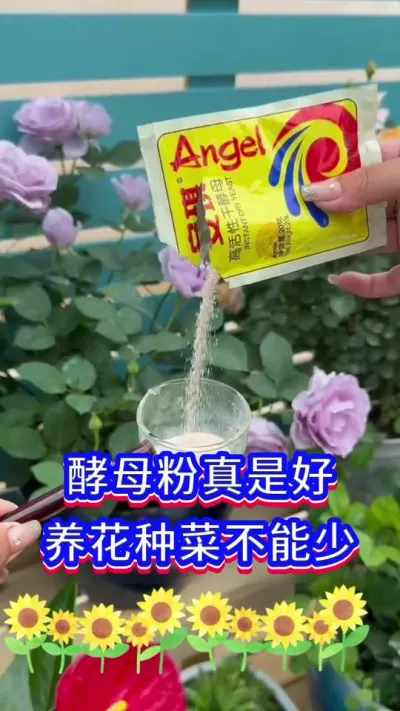 分享养花小技巧#花卉绿植 #英子园艺 #三农