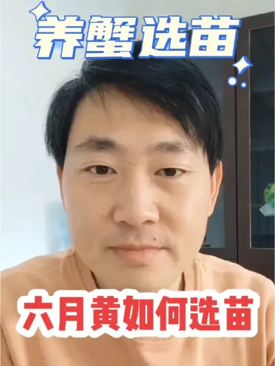 养殖六月黄如何操作！#大闸蟹#螃蟹#大闸蟹养殖 #抖音助农