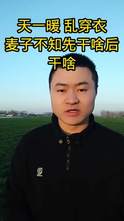 #病虫害防治#小麦管理#抖音助农#新农人#农业植保知识分享 #助农行动