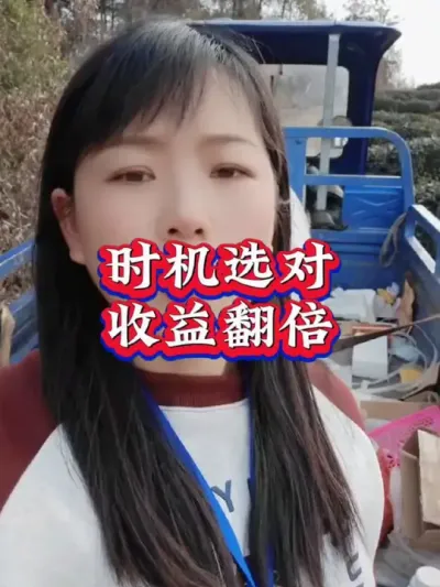 #服务三农支持三农 #茶农茶事 #春茶采摘 #茶树种植技术与管理