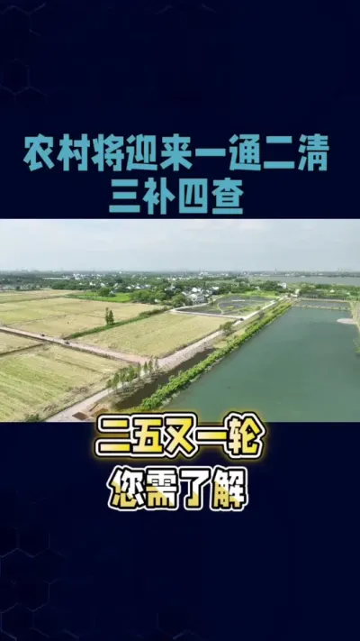 一通二清三补四查